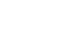 document analyst group
